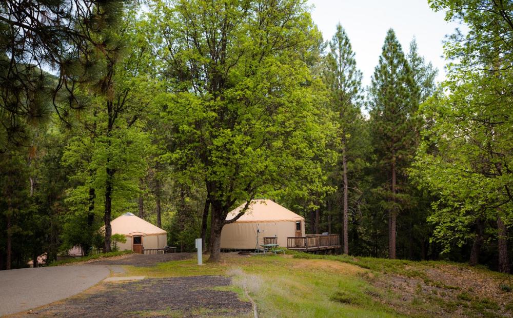 Hillside Yurt - Sleeps 4, No Pets interior